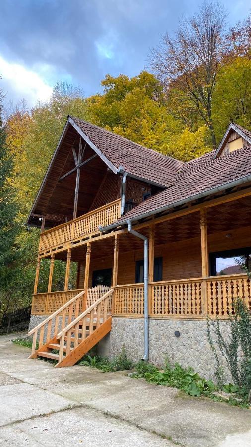 V13 Wild Cabin - Traditional Mountain Cabin With Cosy Modern Rooms Gura Teghii Exterior photo