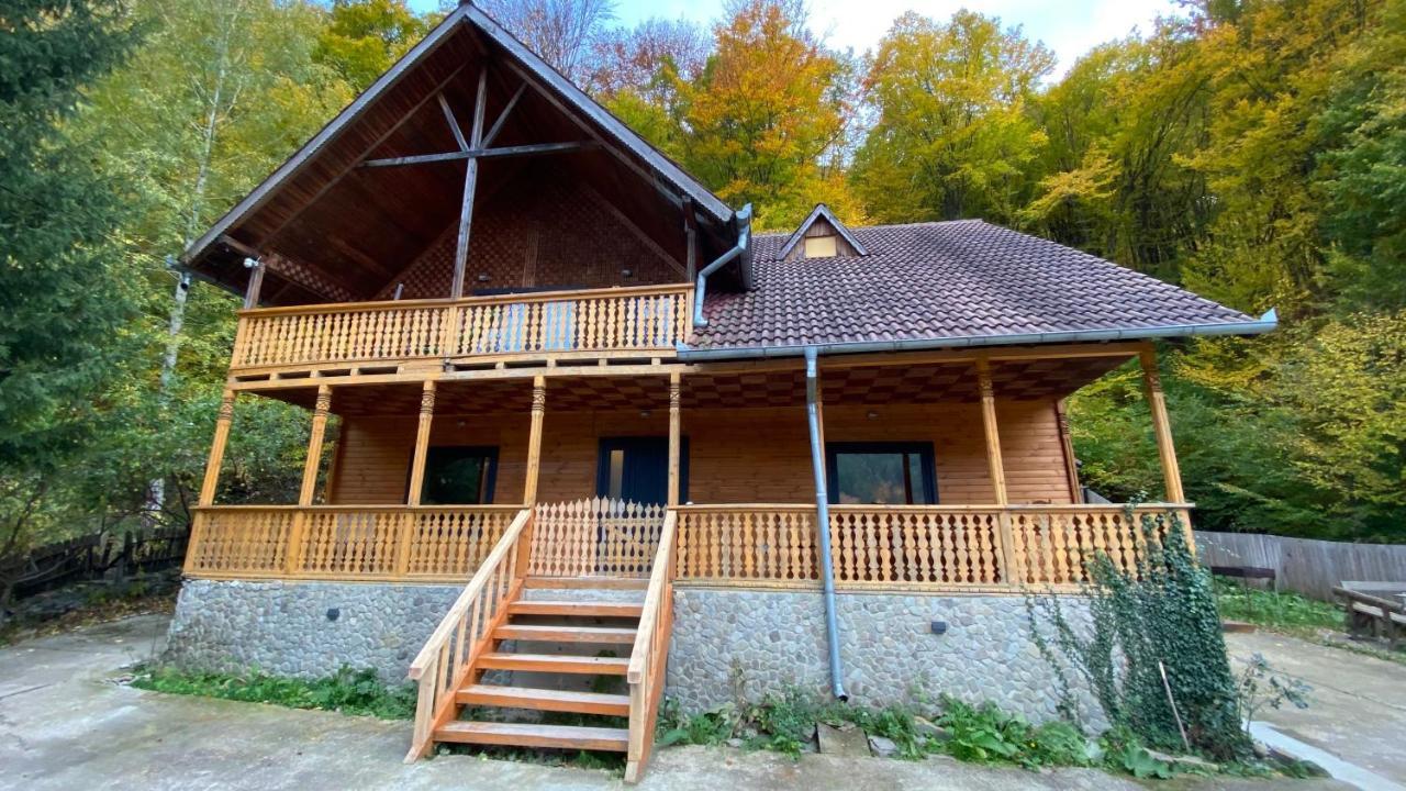 V13 Wild Cabin - Traditional Mountain Cabin With Cosy Modern Rooms Gura Teghii Exterior photo