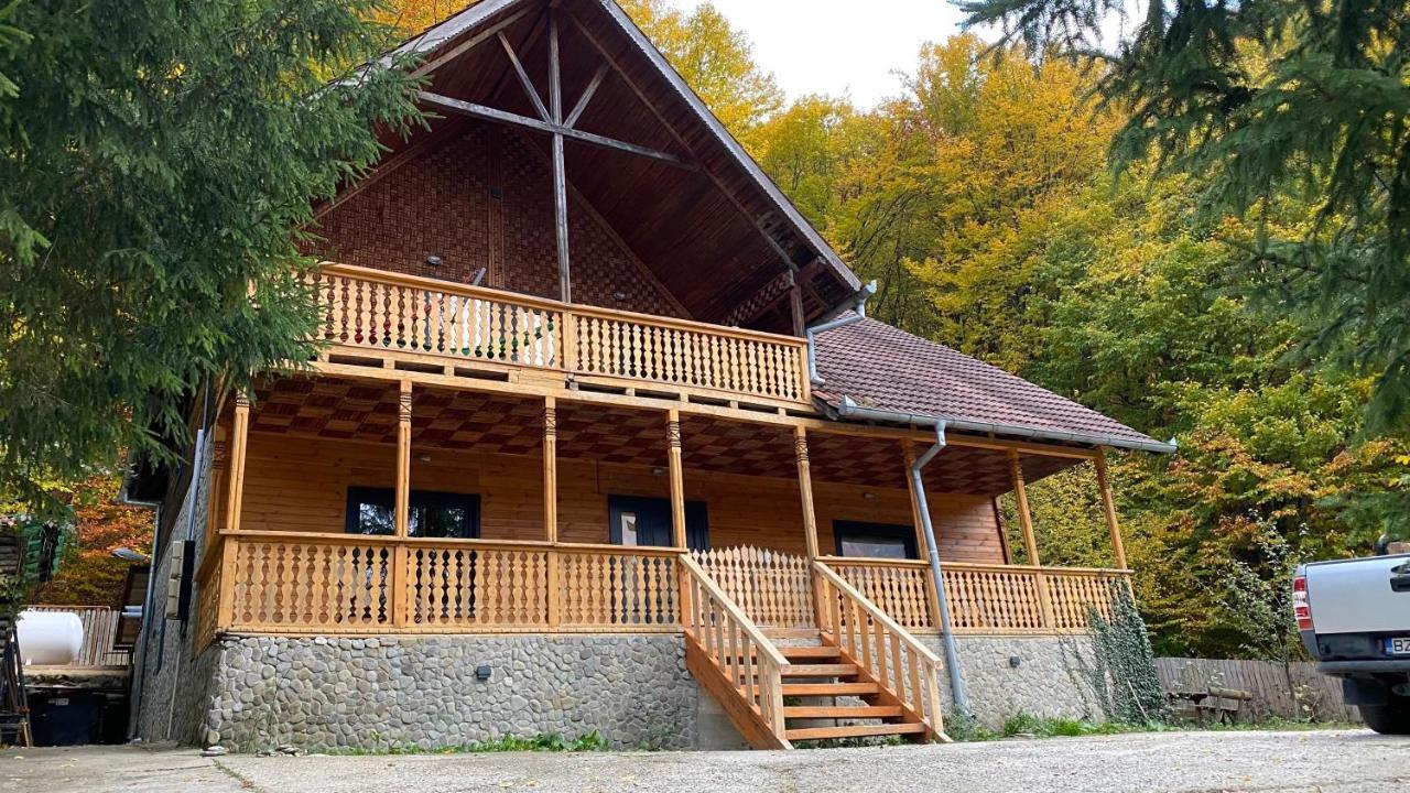 V13 Wild Cabin - Traditional Mountain Cabin With Cosy Modern Rooms Gura Teghii Exterior photo