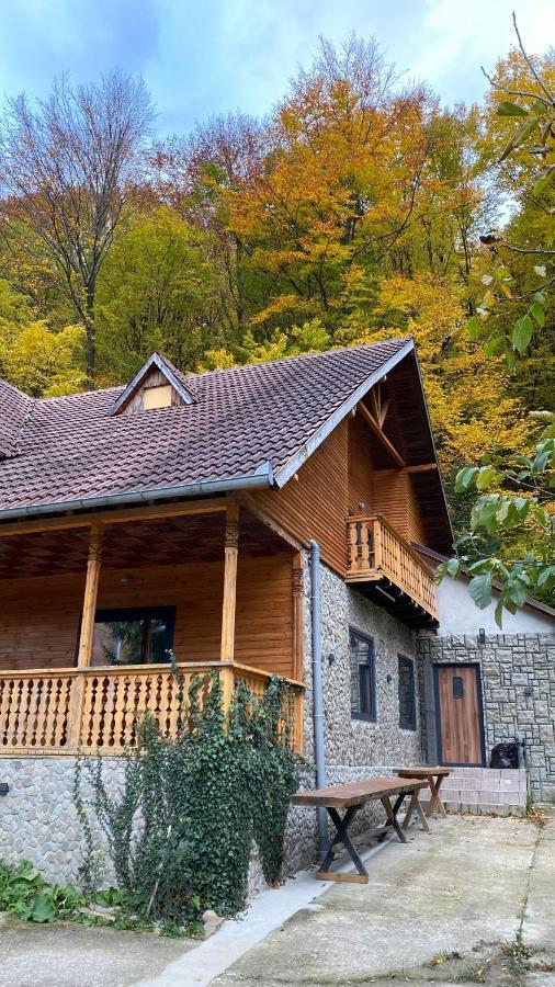 V13 Wild Cabin - Traditional Mountain Cabin With Cosy Modern Rooms Gura Teghii Exterior photo